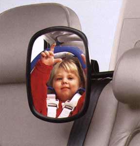 2001 Volvo S80 Interior Child Mirror 9187501